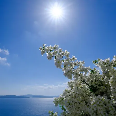 Thirea Apartment Oia (Santorini)